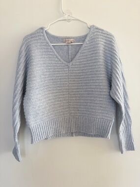 Cropped Swearer Light Blue Ribbed V-Neck